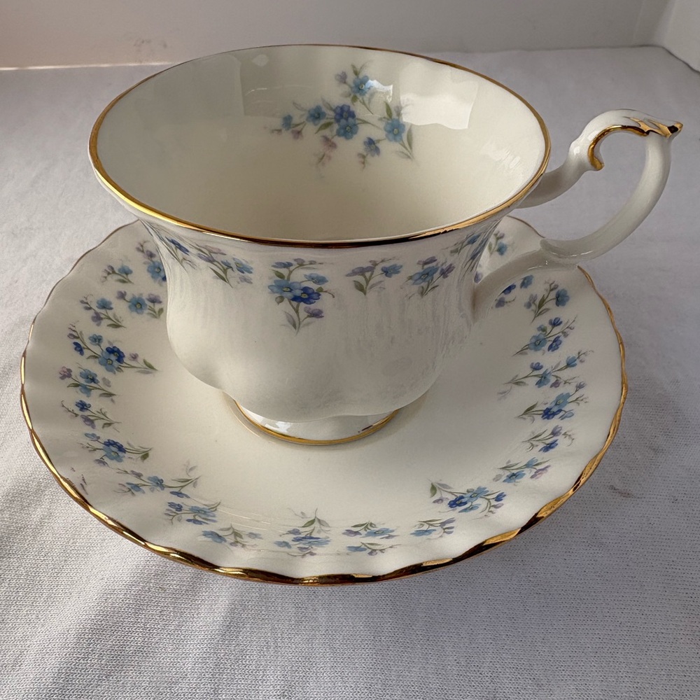 Royal Albert Vintage Teacup and Saucer Set “Memory Lane”